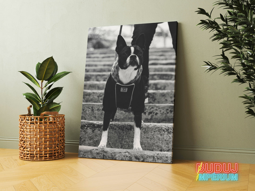 Obraz Gucci Pes – moderní obraz na plátně