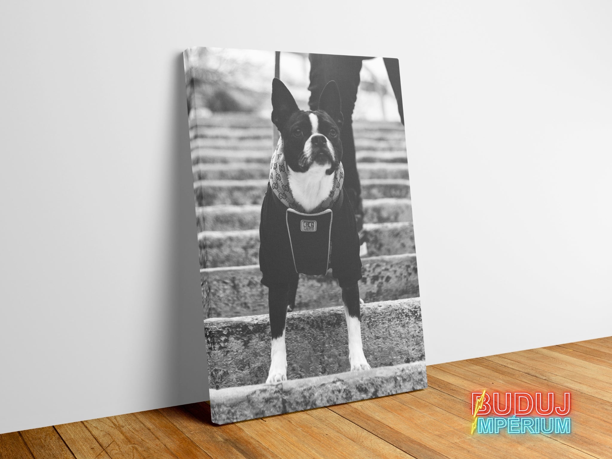 Obraz Gucci Pes – moderní obraz na plátně na zeď 