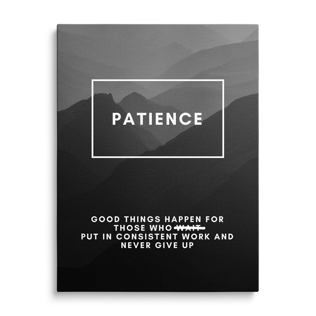 Bílý nápis Patience v rámu před šedými horskými vrstvami, dole drobný anglický text s přeškrtnutým slovem Wait.