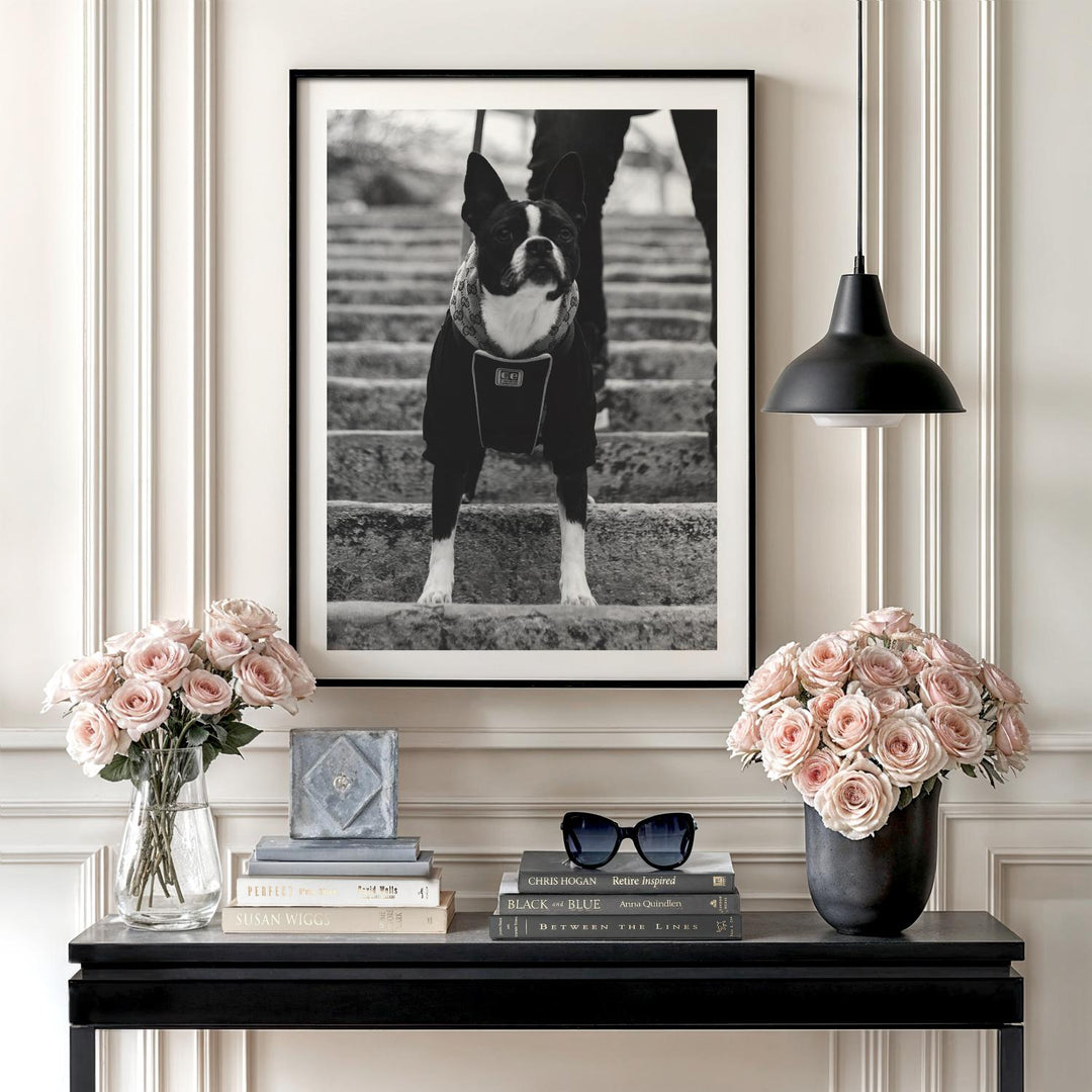 Obraz Gucci Pes – moderní obraz na plátně