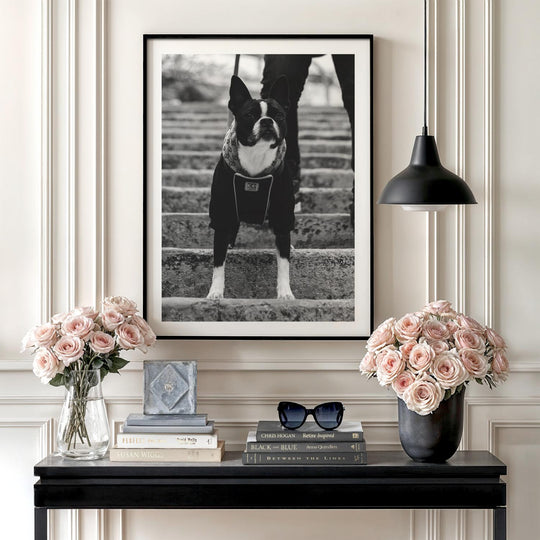 Obraz Gucci Pes – moderní obraz na plátně