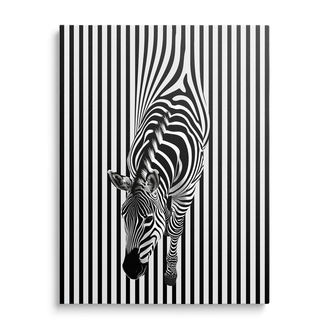 Zebra stojící před svislým černobílým pruhovaným pozadím