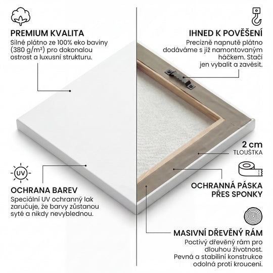 Detailní infografika kvality obrazů od Buduj Impérium. Prémiové motivační obrazy.