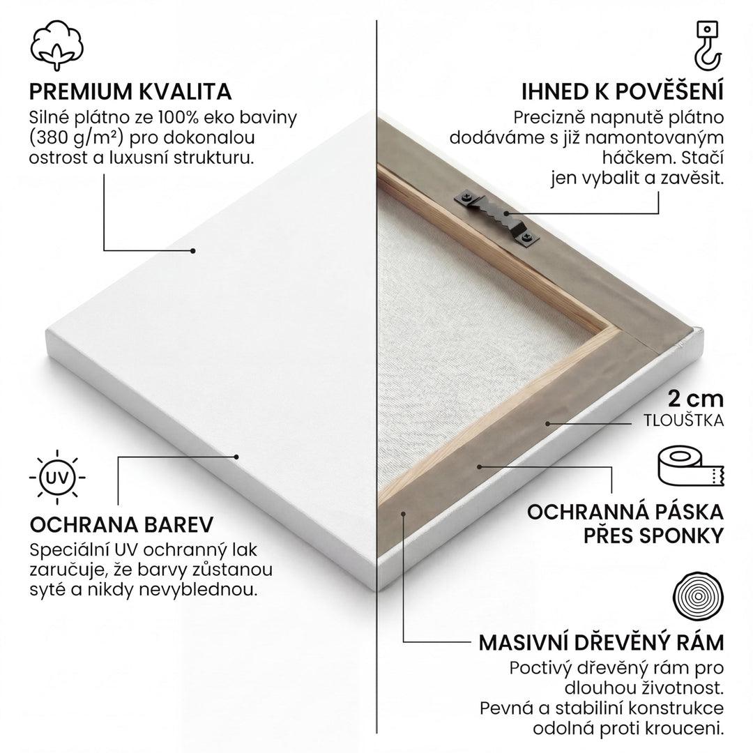 Detailní infografika kvality obrazů od Buduj Impérium.