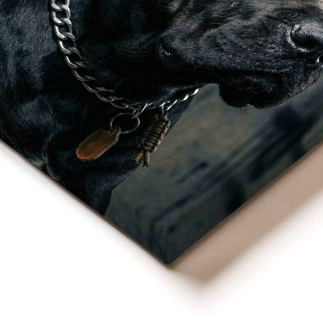 Obraz psa Cane Corso