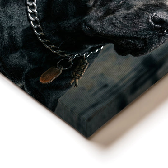 Obraz psa Cane Corso