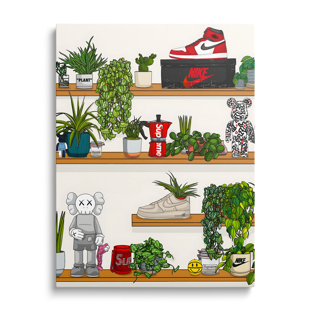 Moderní obraz na zeď s policí plnou rostlin, teniskou Nike a boxem zepředu