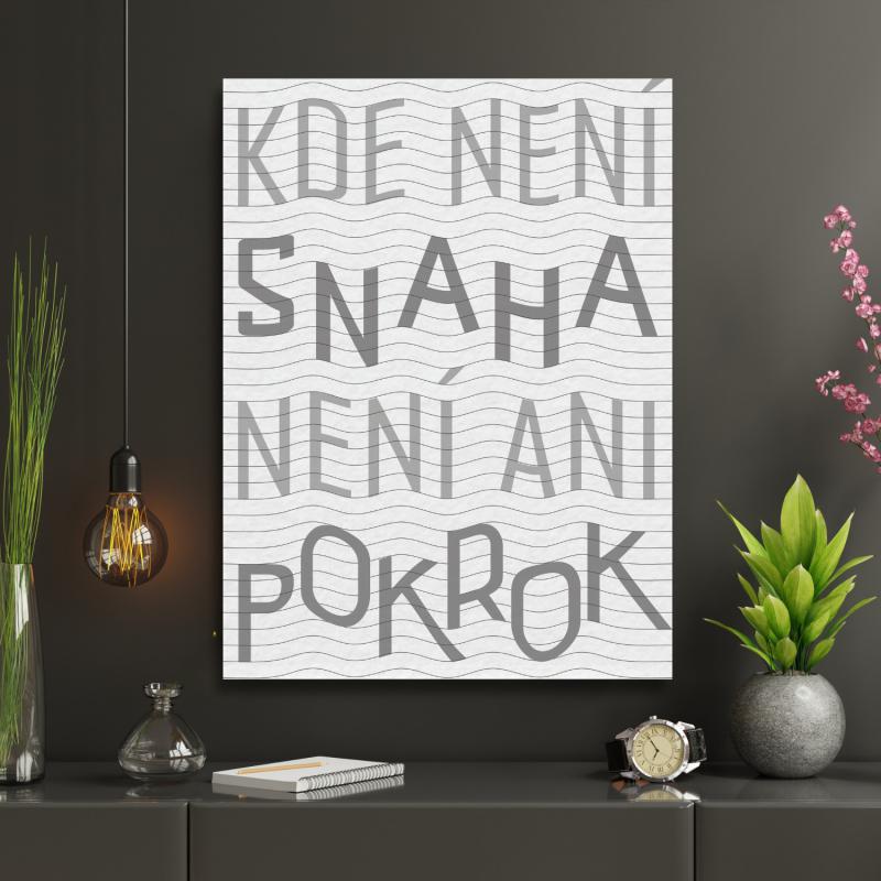 Motivační plakát nebo obraz "Kde není snaha, není ani pokrok" | Motivační obrazy a citáty česky