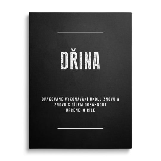 Motivační obraz na plátně s nápisem "DŘINA". buď motivovanej.