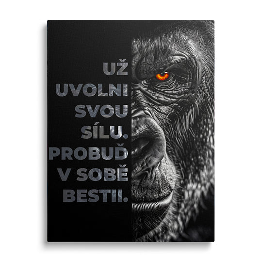 Motivační obraz s gorilou a citátem česky: Už uvolni svou sílu. Probuď v sobě bestii. Motivační obraz česky.
