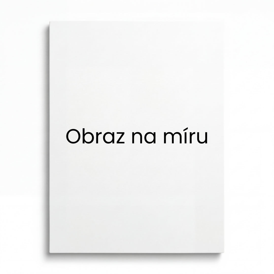 Moderní obraz na plátně s bílým pozadím a černým textem „Obraz na míru“ jako minimalistický obraz na zeď