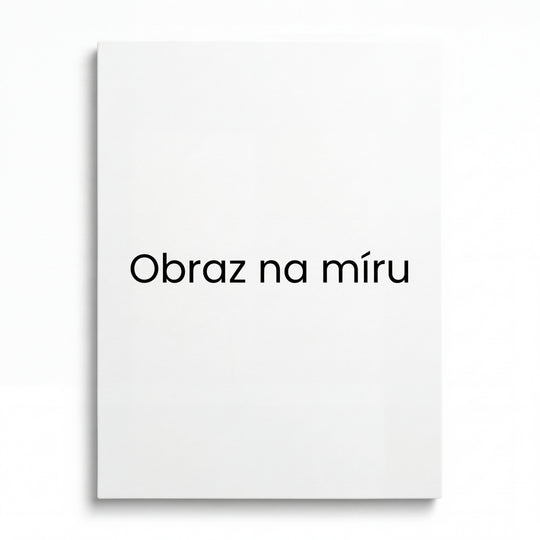 Moderní obraz na plátně s bílým pozadím a černým textem „Obraz na míru“ jako minimalistický obraz na zeď