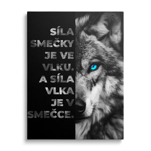 Zvířata