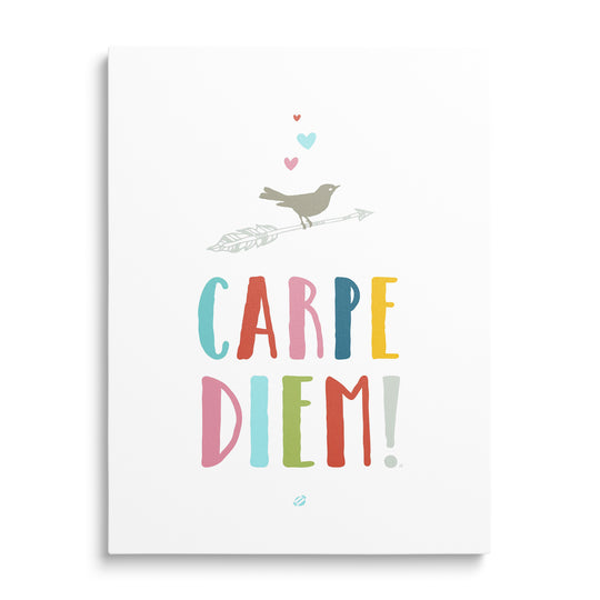 Barevný nápis Carpe Diem s ptáčkem a srdíčky na bílém pozadí
