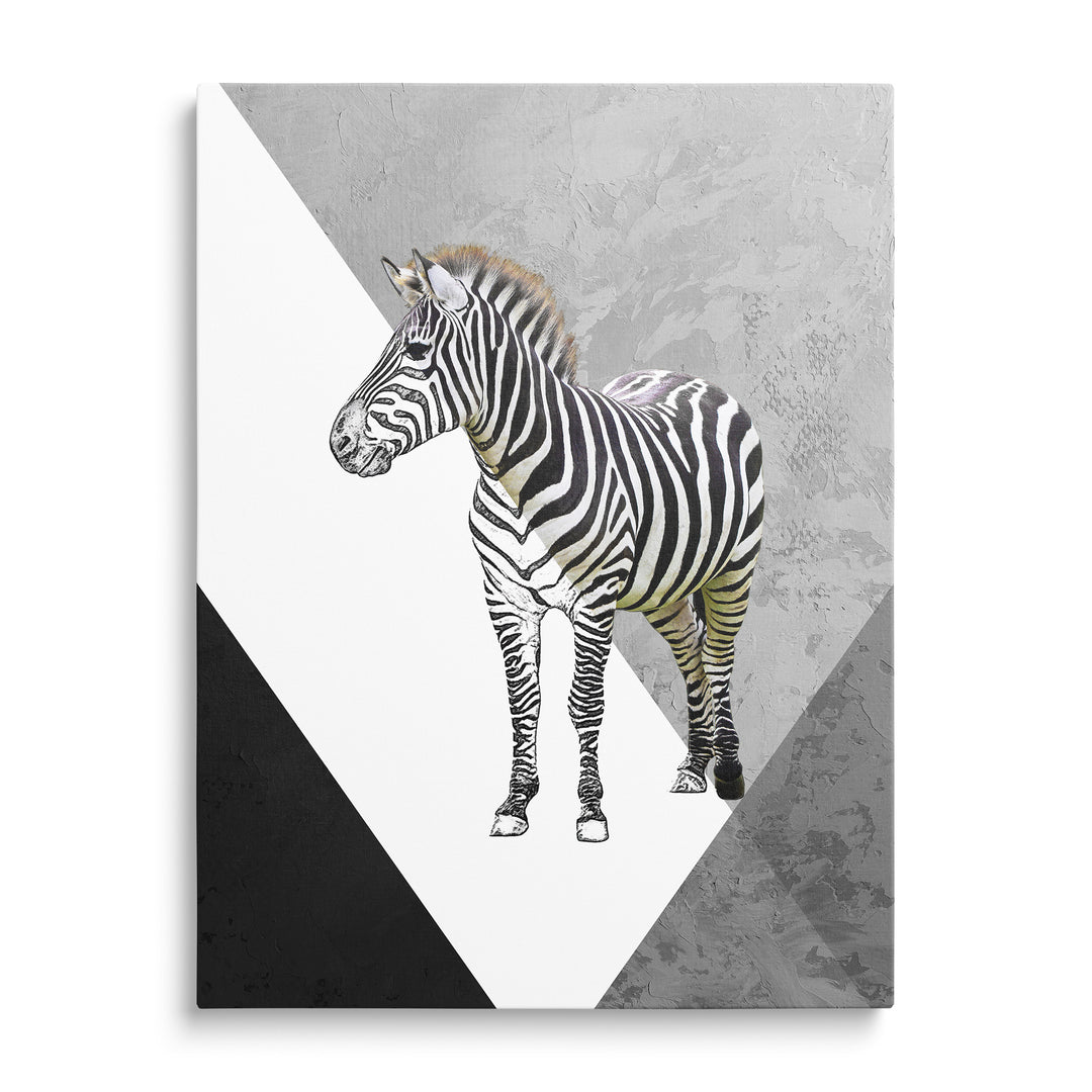 Zebra spojená s linkovou kresbou a šedými geometrickými plochami