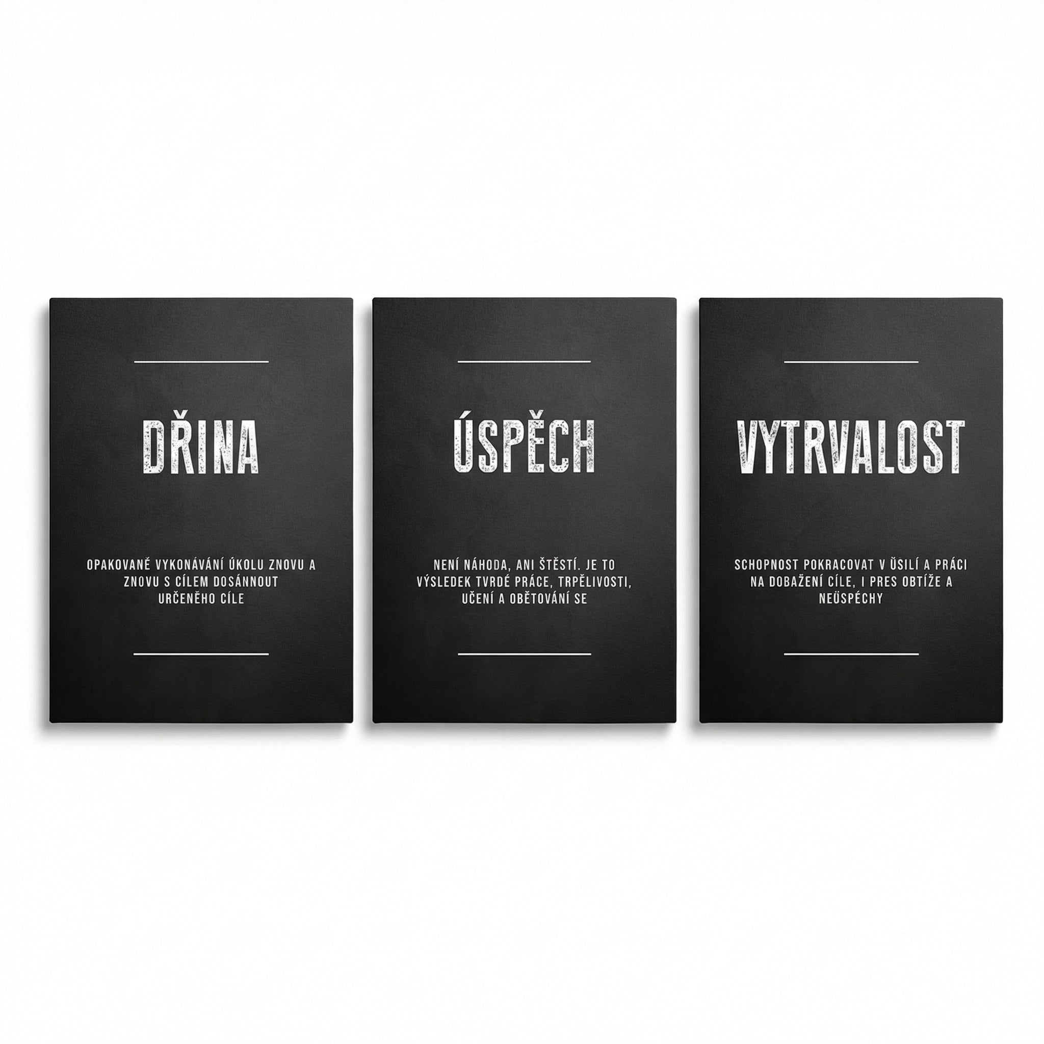 Motivační obraz na plátně, tři černé minimalistické panely s texty Dřina, Úspěch a Vytrvalost